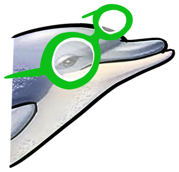 Bubble Brigade dolphin